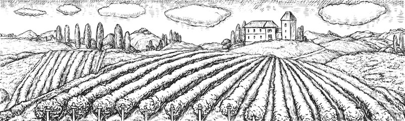 vineyard field. vector rural scene with winery plantation on hill and house ranch hand drawn engravi