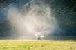 Grass sprinkler for water-sprinkled lawn