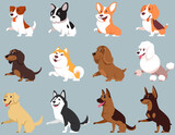 Fototapeta Pokój dzieciecy - Dogs of different breeds giving paw. Big set of cute pets.
