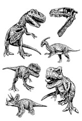 Vector collection of dinosaurs , graphical elements isolated on white