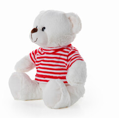 A teddy bear doll on a white background