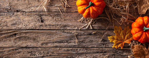 Autumn background with leaves and pumpkins on rustic background. Panorama view