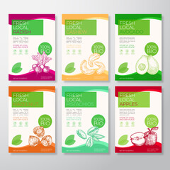 Wall Mural - Fresh Local Fruit and Nut Labels Packaging Design Layout Collection. Vector Background Covers Set. Modern Typography and Hand Drawn Avocado, Apples, Hazelnut, Cashew, Pistachios and Radish.