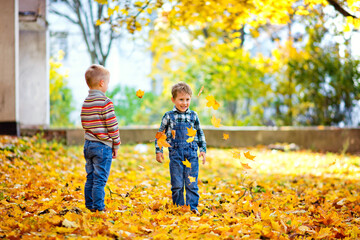 Two boys play with yellow autumn leaves in the Park. They toss up maple leaves.