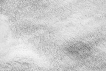 White fur fabric texture background