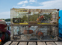 Lobster Traps Stacked On A Dock On The Coast Of Maine