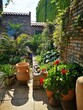 Widok na patio ze śródziemnomorską roślinnością. Akcenty w stylu prowansalskim. Ceglasty mur otoczony zielenią.