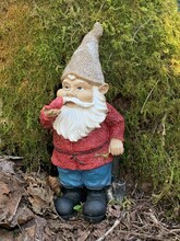 Gnome In The Woods