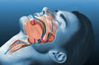 Snoring man, medically 3D illustration