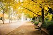 © JAVIER PARDINA/Stocksy - Empty bank on the street, with autumn colors trees