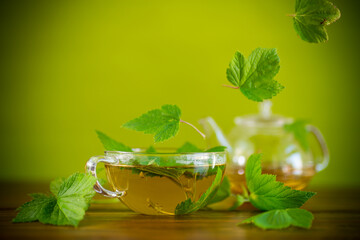 Poster - summer refreshing organic tea from currant leaves in a glass teapot