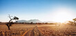 desert track into the sun, Namibia