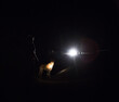 © I am ivar/Stocksy - Car lights light up man walking dog at night