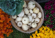 Basket Filled With Small White Pumpkins And Autumn Flowers On Display At A Shop