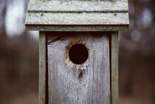 A Circular Entrance To A Homemade Birdhouse.