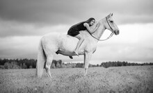 Girl And A White Horse