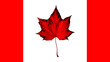 © Real Moment - Flag Canada. Maple red leaf - symbol on canadian flad isolated white background. Patriotic background Canada day - white flag & red maple leaf. Canada flag - country in northern part of North America