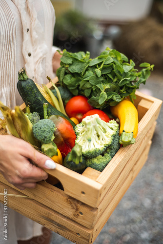 Fototapeta na drzwi i meble A box with a harvest of vegetables in the hands of a farmer. Peppers, corn, broccoli, tomatoes and herbs inside the box. Autumn harvest.
