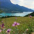 Large view of Serre-Ponçon Lake, in french Hautes Alpes, France with the town Savine-le-lac