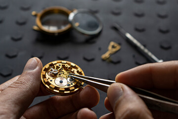 Watchmaker's workshop, mechanical watch repair. SPecial repair kit