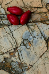 Wall Mural - Berries red ona. rock slate like background with texture