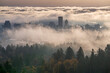 Moody misty Portland downtown with rolling fog and autumn foliage