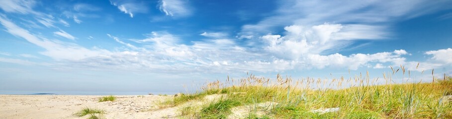 Panoramic view of the sandy Baltic sea shore on a sunny summer day. Sand dunes, green grass and plants close-up. Clear blue sky with cirrus clouds. Idyllic seascape. Travel destinations, vacations