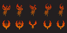 Set Of Phoenix Flying Fire Bird Abstract Logo Design Vector Template. Dove Eagle Logotype Concept Icon
