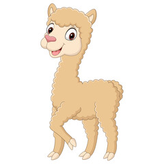 Canvas Print - Cute little alpaca cartoon on white background