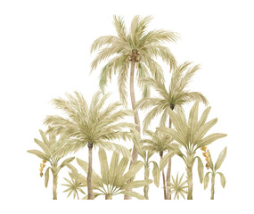 watercolor compositions with palm tree in green color isolated on white background. coconut and bana