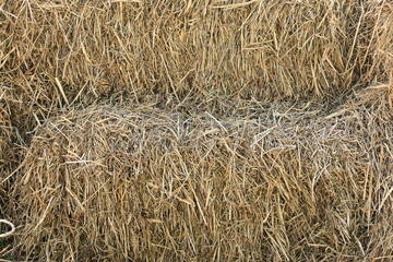 close up texture of straw background.