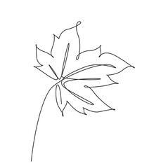 Wall Mural - one continuous line drawing abstract tropic spring maple leaf. minimal botany natural eco concept. h