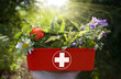ALTERNATIVE MEDICINE - Fresh herbs in first aid kit.