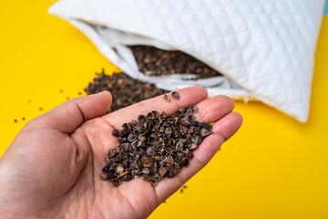 Hand holding a pillow filled with plant buckwheat husk