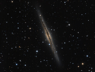 Wall Mural - ngc 891 silver sliver galaxy