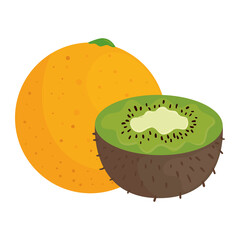 Poster - fresh fruits, orange and kiwi, in white background vector illustration design