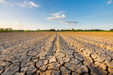 The ground in the field that was so barren that it was parched And the evening sun