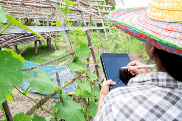 young woman using tablet computer in the garden