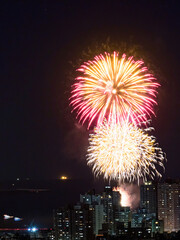 Wall Mural - Colorful fireworks in the night sky