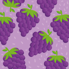 Poster - background of fresh grapes fruits vector illustration design