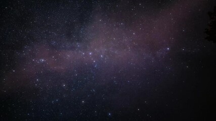 Wall Mural - Timelapse of stars and milkyway over the trees at night.  Beautiful timelapse of milkyway. Starfall.