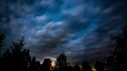Wall Mural - Timelapse of stars and milkyway over the trees at night.  Beautiful timelapse of milkyway. Starfall.