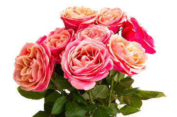 Sticker - bouquet of pink roses isolated