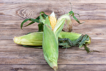 Two unpeeled ears of corn on a wooden table.