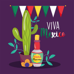 Canvas Print - mexican independence day, cactus tequila bottle bunting decoration, viva mexico is celebrated on september