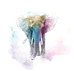 Watercolor Elephant. Digital illustration on white background.