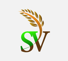 Initial Letter Logo SV, Agriculture Wheat Logo Template Vector Icon Design Colored Green And Brown.
