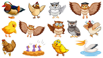 Poster - Set of different birds cartoon style isolated on white background