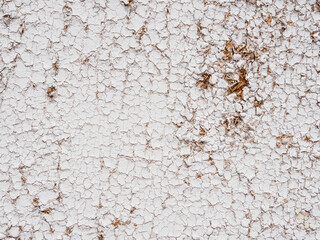 Poster - Cracked white ground texture for backgrounds