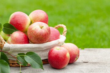 Poster - Ripe garden apple fruits in basket